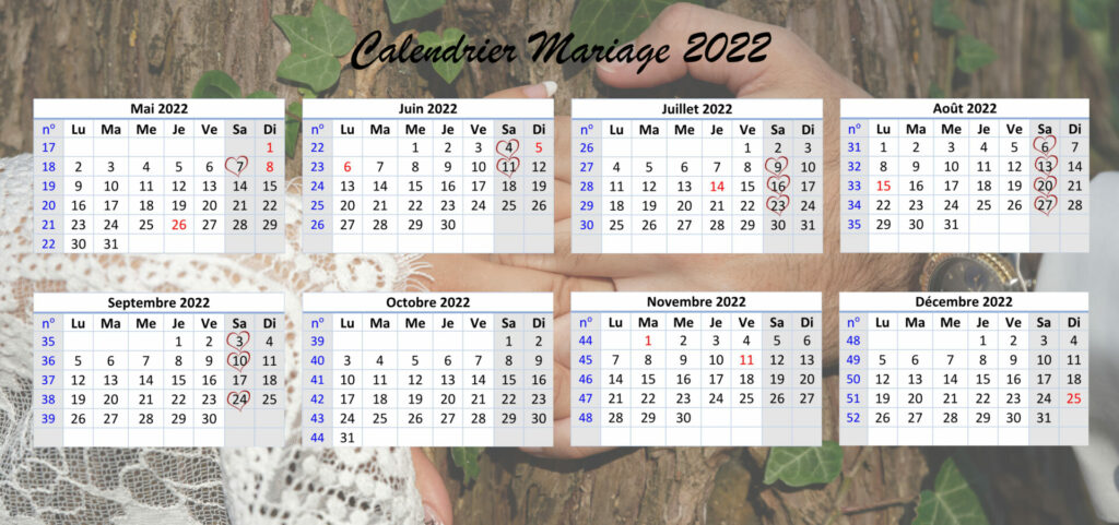 calendrier mariage